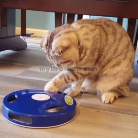 Интерактивна играчка за котки “Хвани опашката на мишката“ за домашният ви любимец